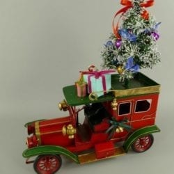 Auto met kerstboom 3