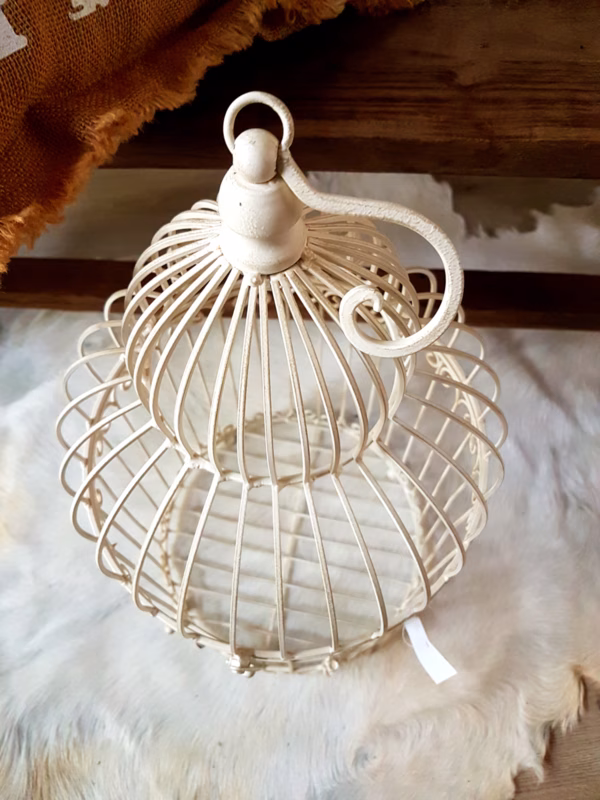 Vogelkooi wit creme L 3 Vogelkooi wit creme L - Afbeelding 3