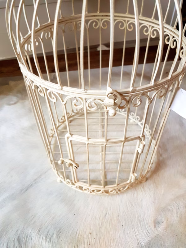 Vogelkooi wit creme L 5 Vogelkooi wit creme L - Afbeelding 5
