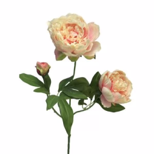 Pioenroos zijde roze