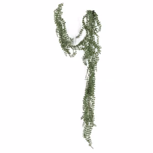Parelplant hangend kunst