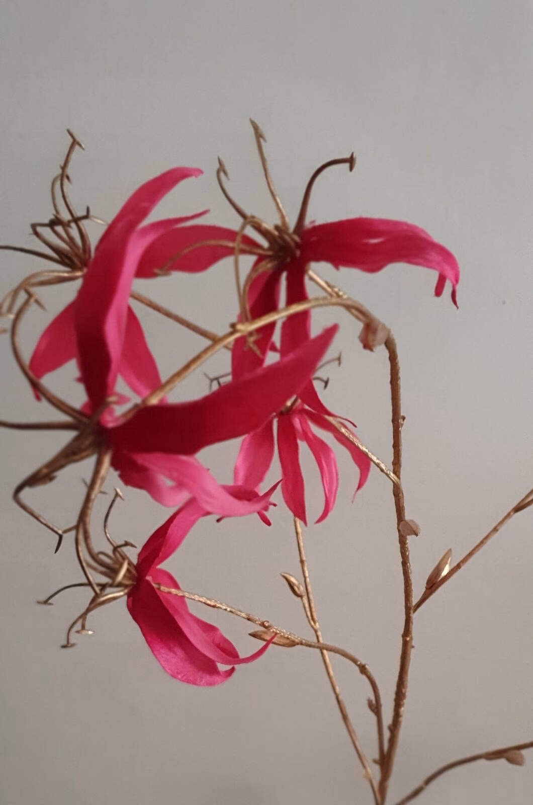 GLORIOSA 111CM GOUD/BEAUTY 1 GLORIOSA SPRAY VERLVET BEAUTY/GOUD 108 CM