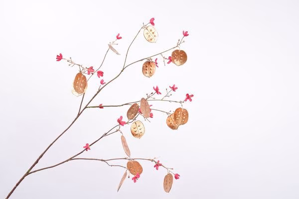 JUDASPENNING TAK GOUD/ROZE 97cm 1 JUDASPENNING TAK GOUD/ROZE 97cm