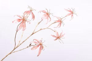 GLORIOSA 111CM GOUD/BEAUTY