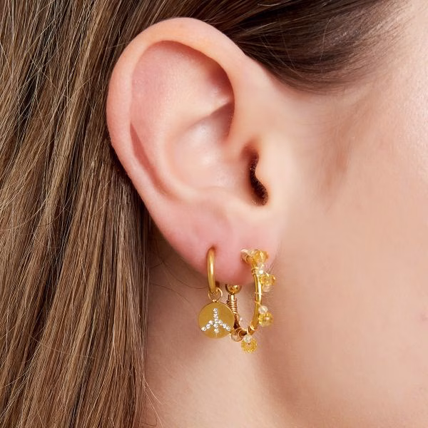 Roestvrijstalen oorbellen zirkonia steentjes. 2 Roestvrijstalen oorbellen met delicate zirkonia steentjes.