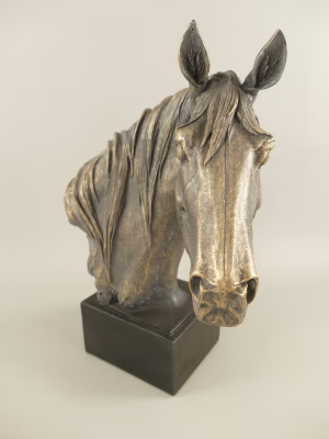 Paardenhoofd. Zwart/bronskleurig 39