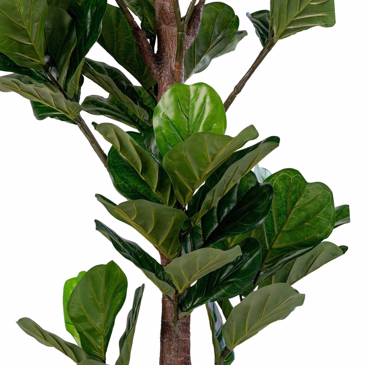 Fiddle Leaf Tree - Kunstplant 190 cm. 3 Fiddle Leaf Tree - Kunstplant 190 cm. - Afbeelding 3