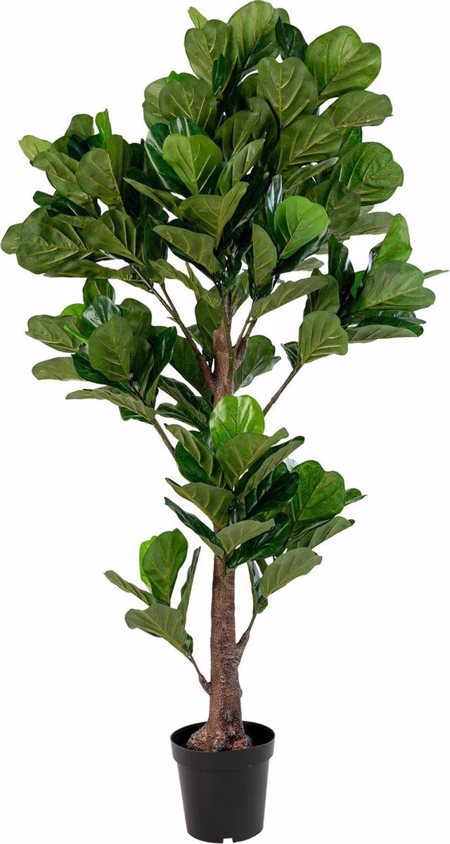 Fiddle Leaf Tree - Kunstplant 190 cm. 1 Fiddle Leaf Tree - Kunstplant 190 cm.