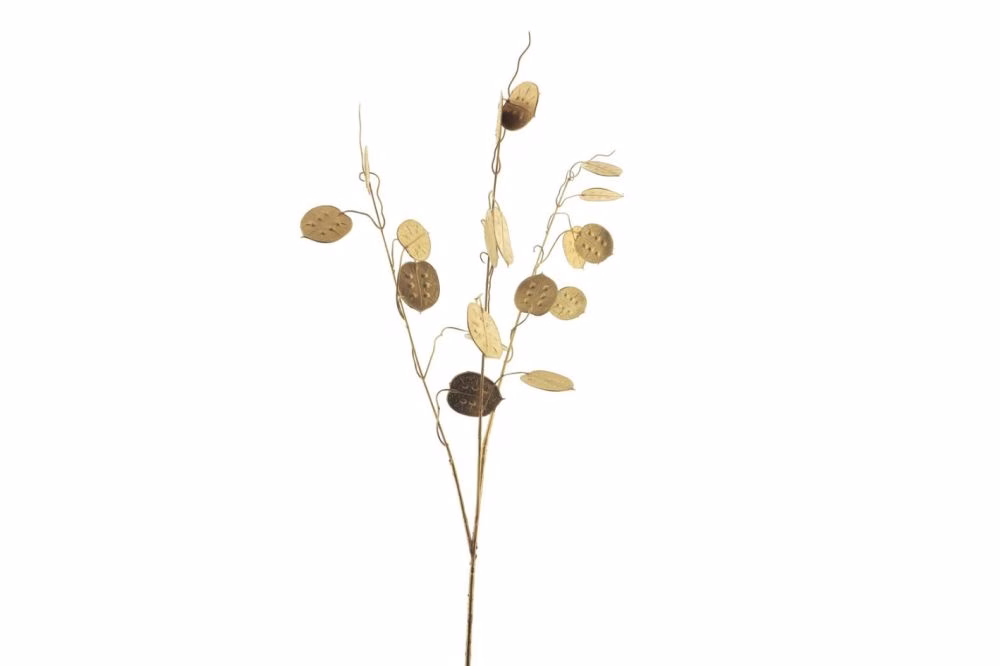 Kunsttak dollar goud 1 Kunst tak dollar goud