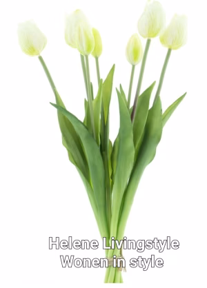 Bos tulpen bush creme