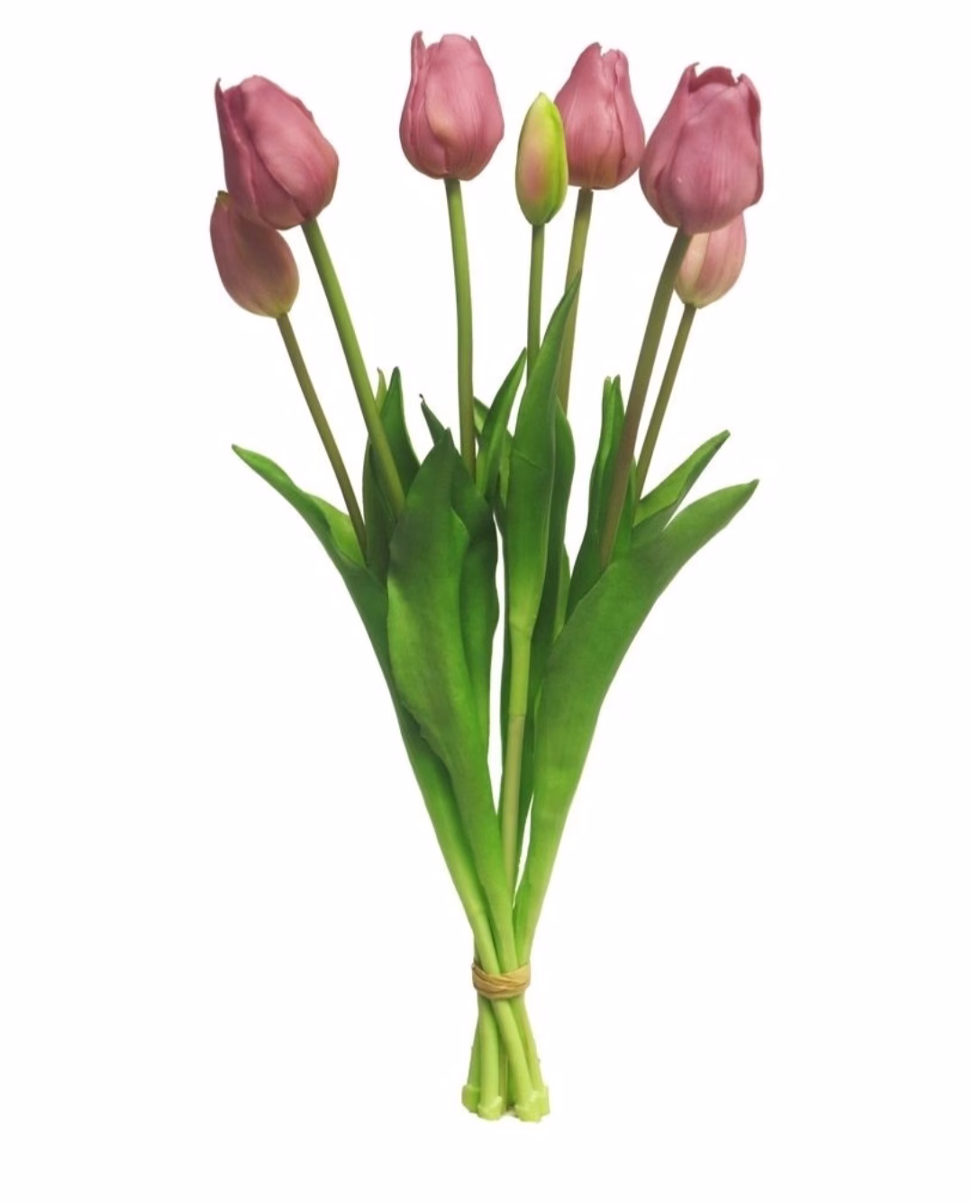 Bos tulpen bush mauve 1 Bos tulpen bush mauve