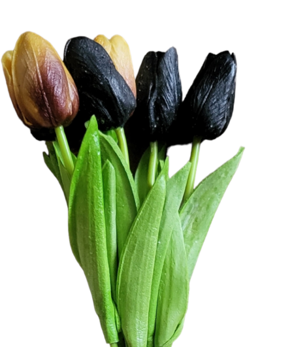 Bos tulpen black/oker 35 cm