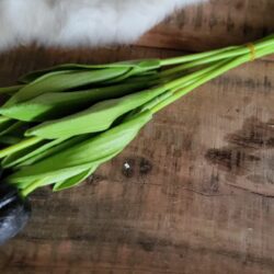 Bos tulpen black 35cm