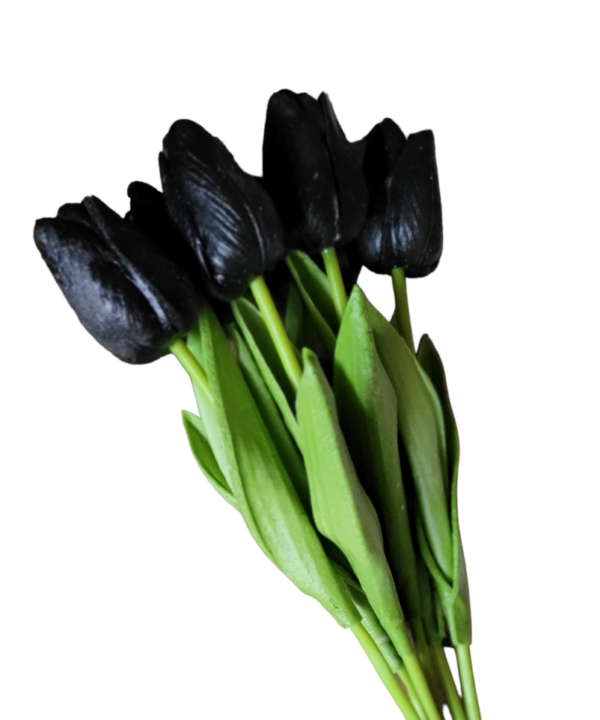 Bos tulpen black 35cm