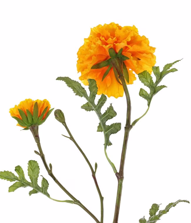 Bos bloemen inclusief vaas 4 Bos bloemen inclusief vaas - Afbeelding 4