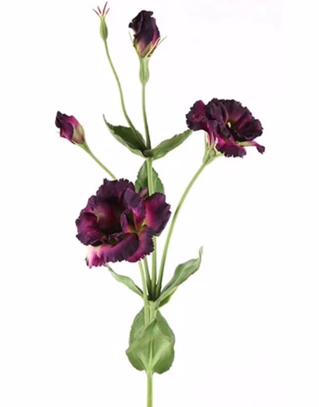 Bos bloemen inclusief vaas 7 Lisianthus paars zijdenbloem