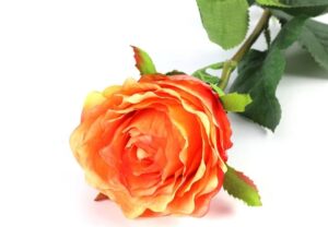 Zijdenbloem roos oranje