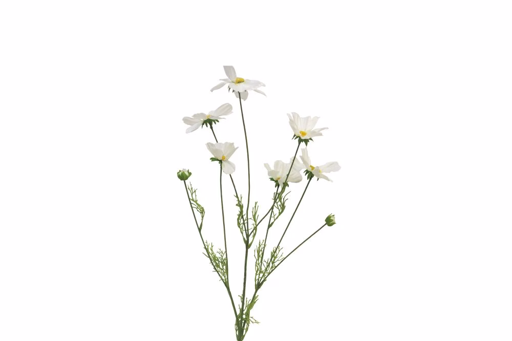 Kunstbloem "Cosmos Orion creme 1 Kunstbloem "Cosmos Orion