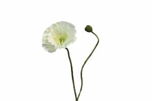 Kunst bloem "Papaver " crème