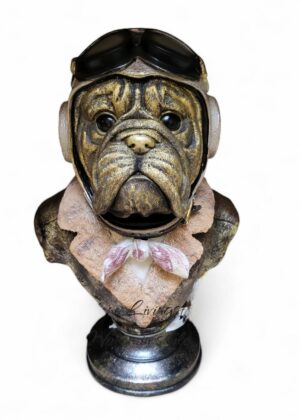Royal Bulldog borstbeeld 35cm
