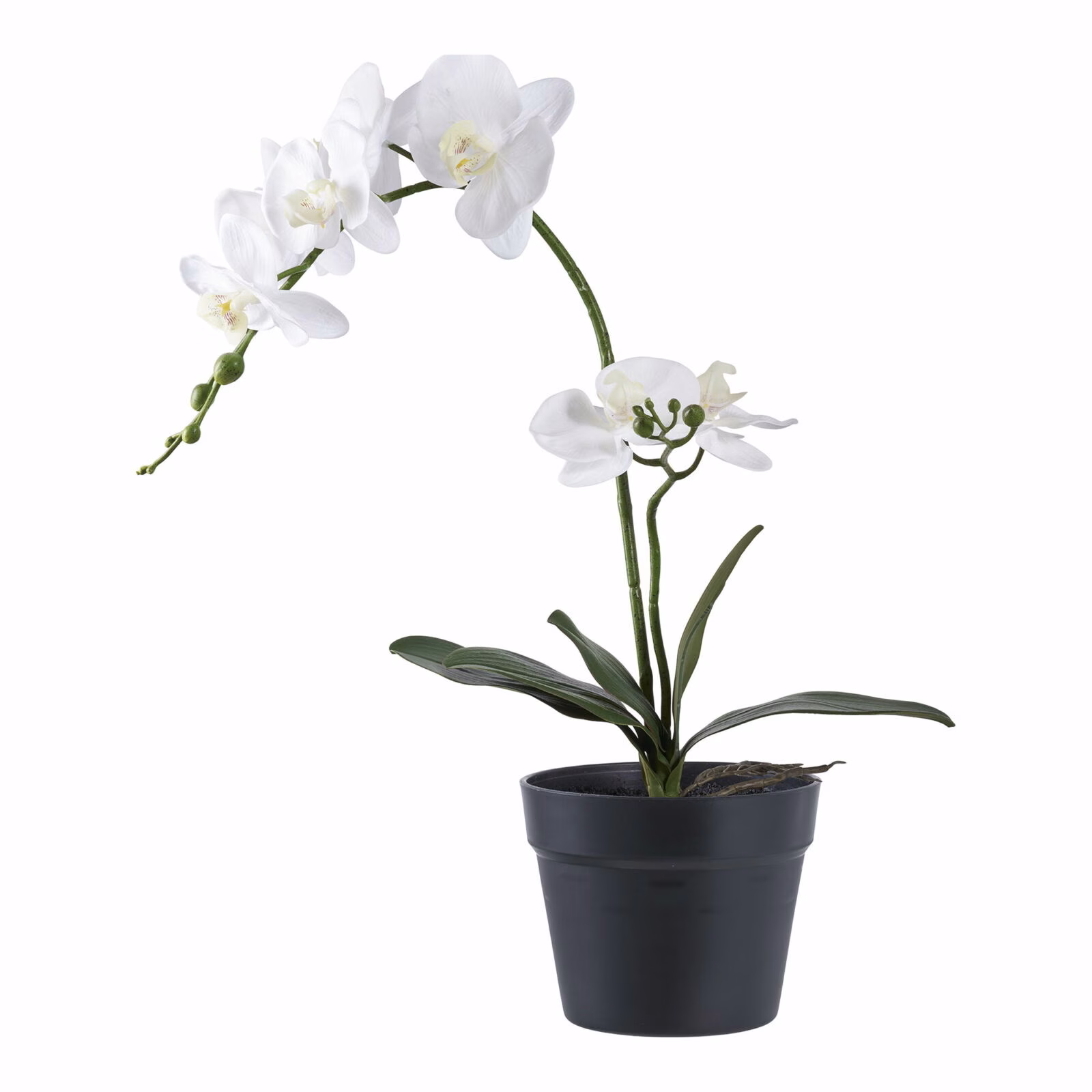 Orchidee Kunstplant, groen/wit 49 cm 1 Orchidee Kunstplant, groen/wit 49 cm