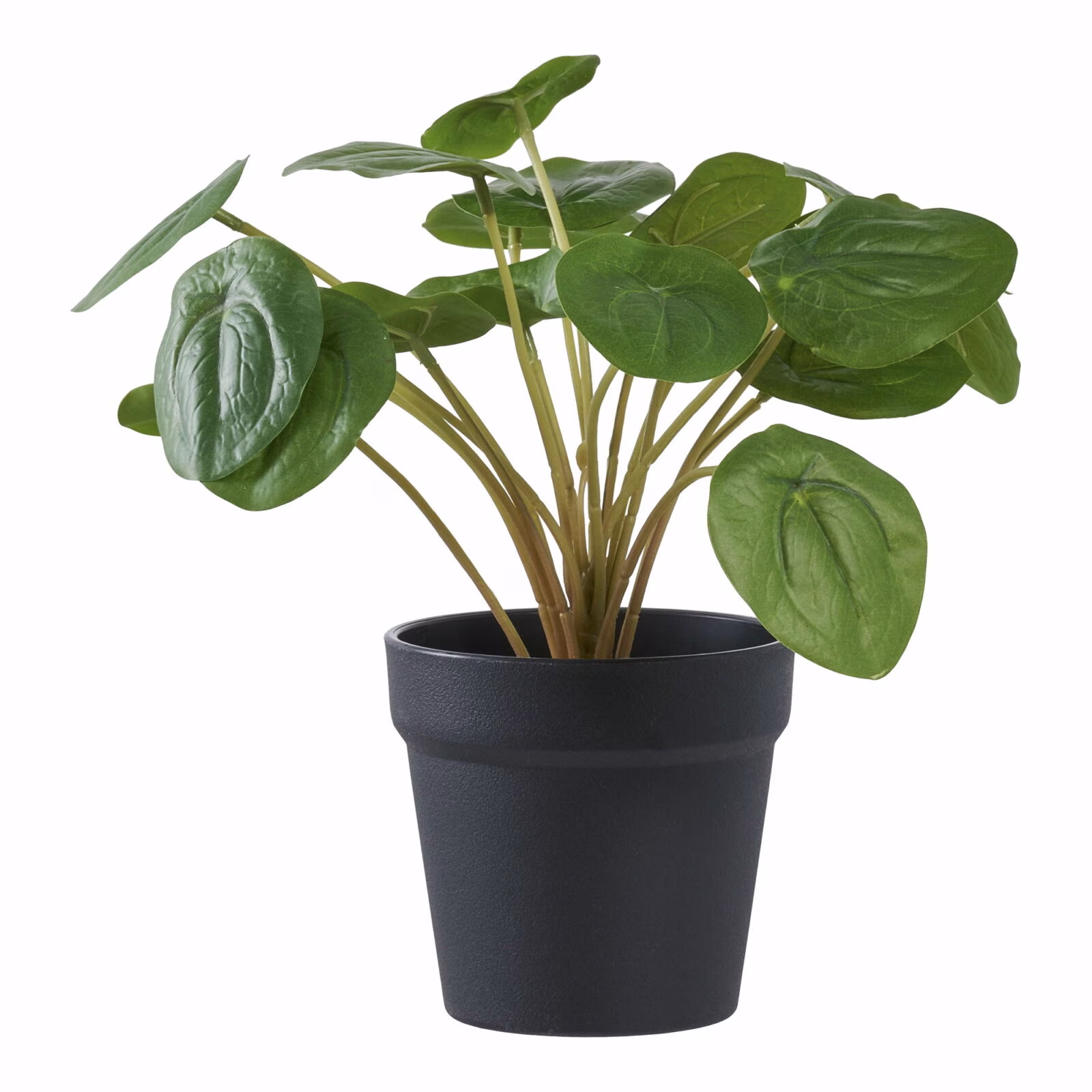 Kanton Pelia Kunstplant, groen 28 1 Kanton Pelia Kunstplant, groen 28 cm