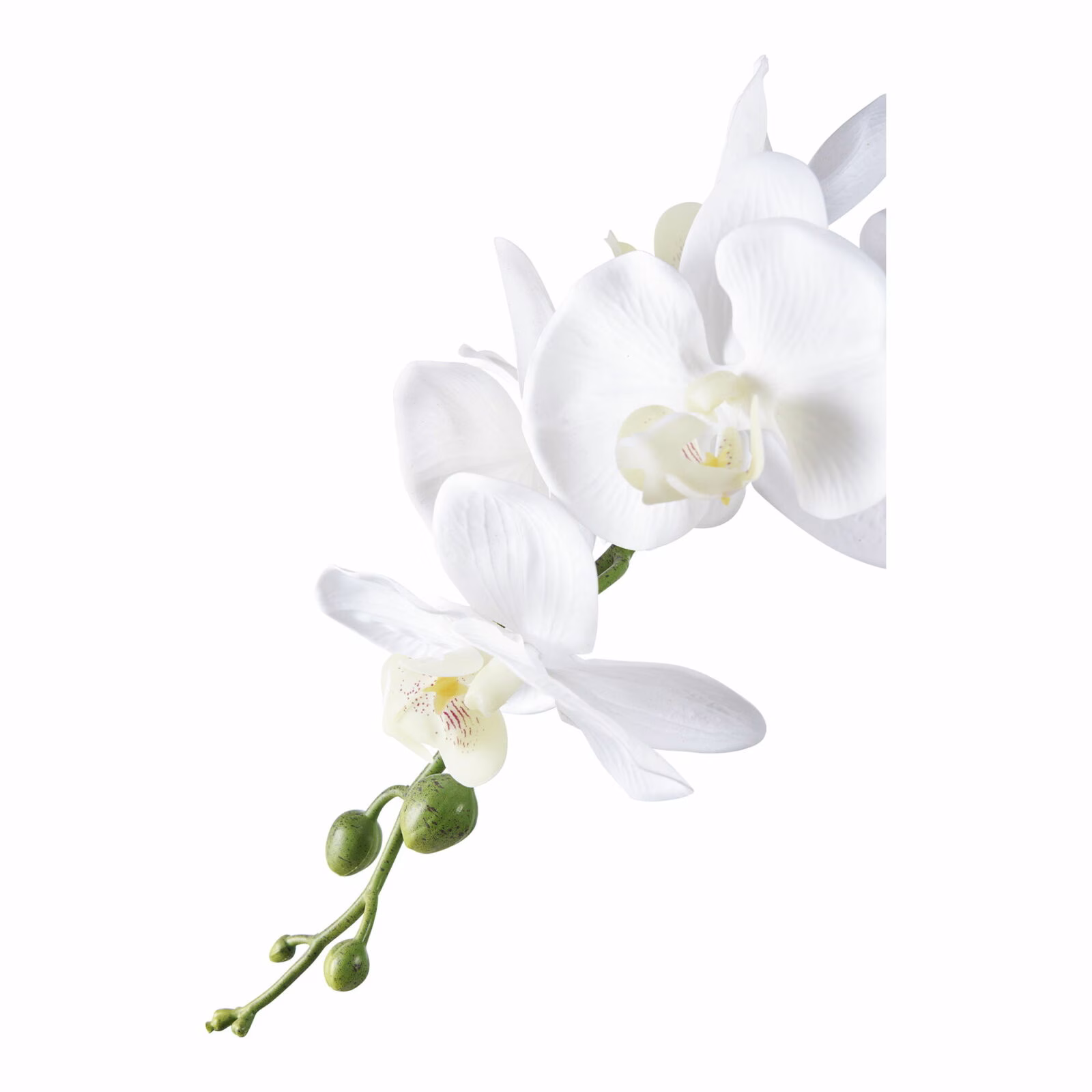 Orchidee Kunstplant, groen/wit 49 cm 3 Orchidee Kunstplant, groen/wit 49 cm