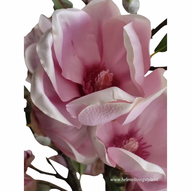 Magnolia Kunsttak Roze Levensecht & Stijlvol 3 Magnolia Kunsttak Roze Levensecht & Stijlvol - Afbeelding 3