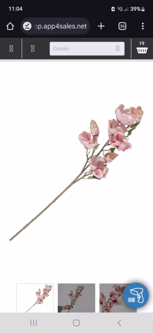 Magnolia Kunsttak Roze Levensecht & Stijlvol.