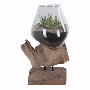 Glazen Vaas op Teakhout 25cm