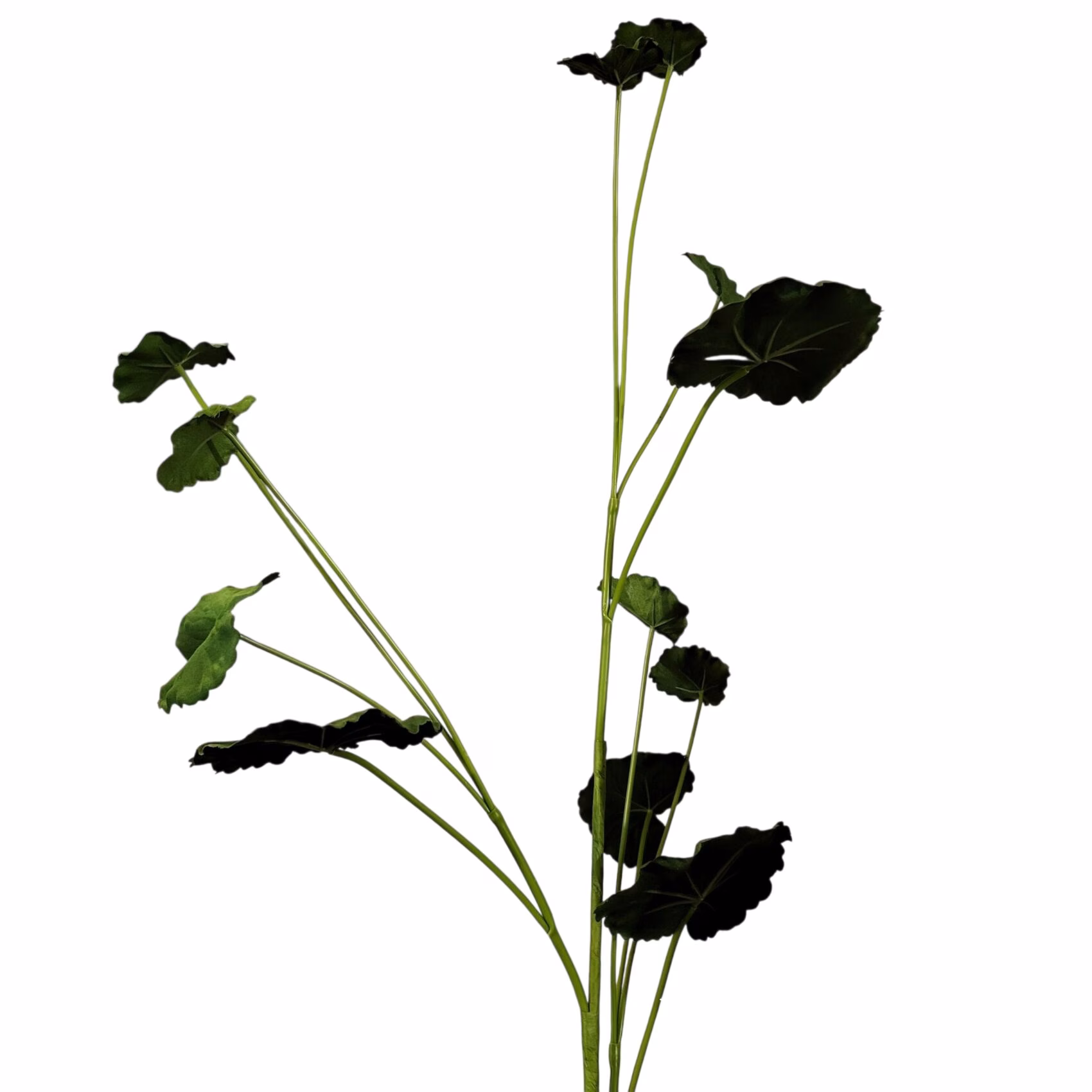 Kunsttak Begonia Leaf Groen 98 cm – Realistisch & Onderhoudsvrij 2 Kunsttak Begonia Leaf Groen