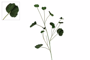 Kunsttak Begonia Leaf Groen