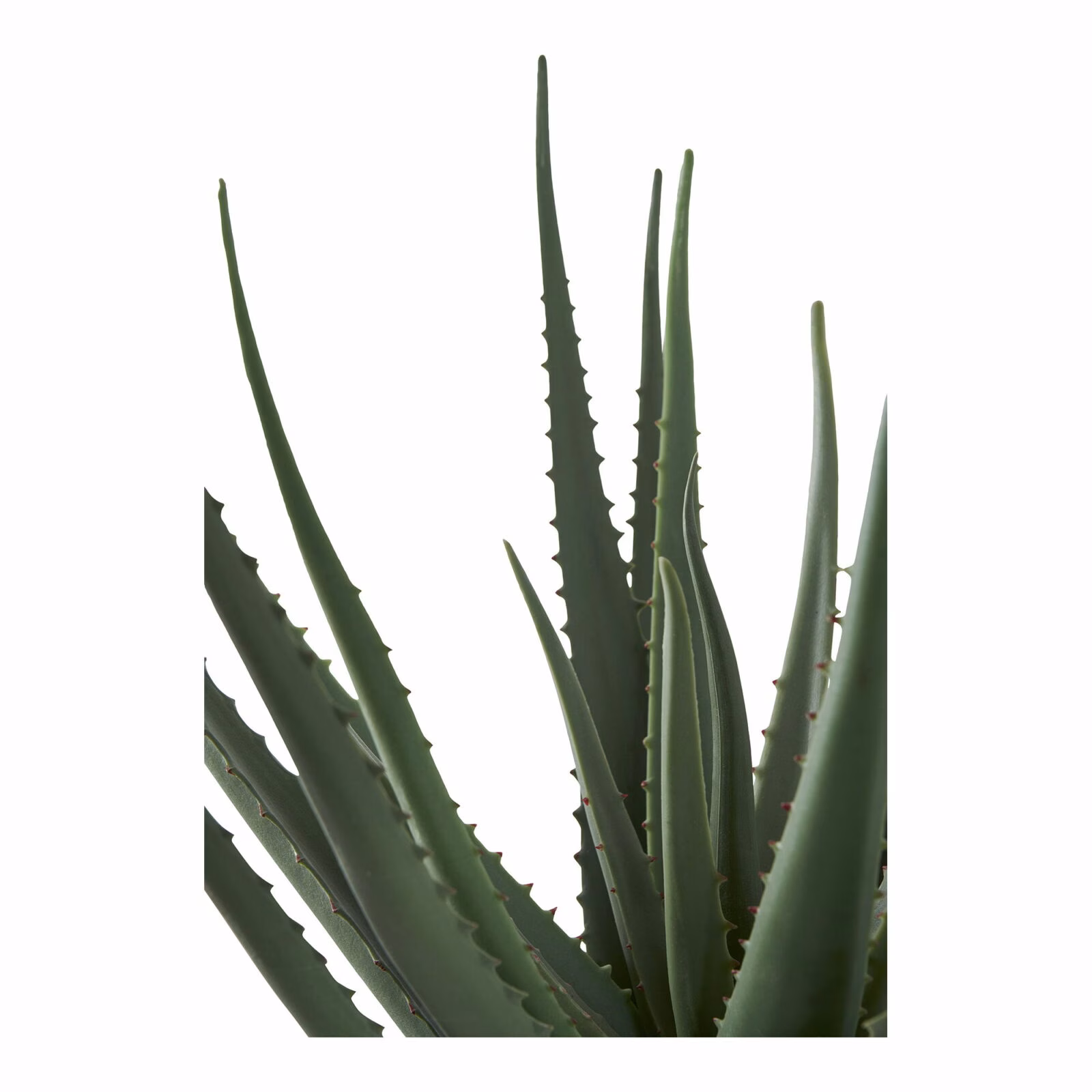 Aloe Vera kunstplant groen 51cm 3 Aloe Vera kunstplant groen 51cm - Afbeelding 3