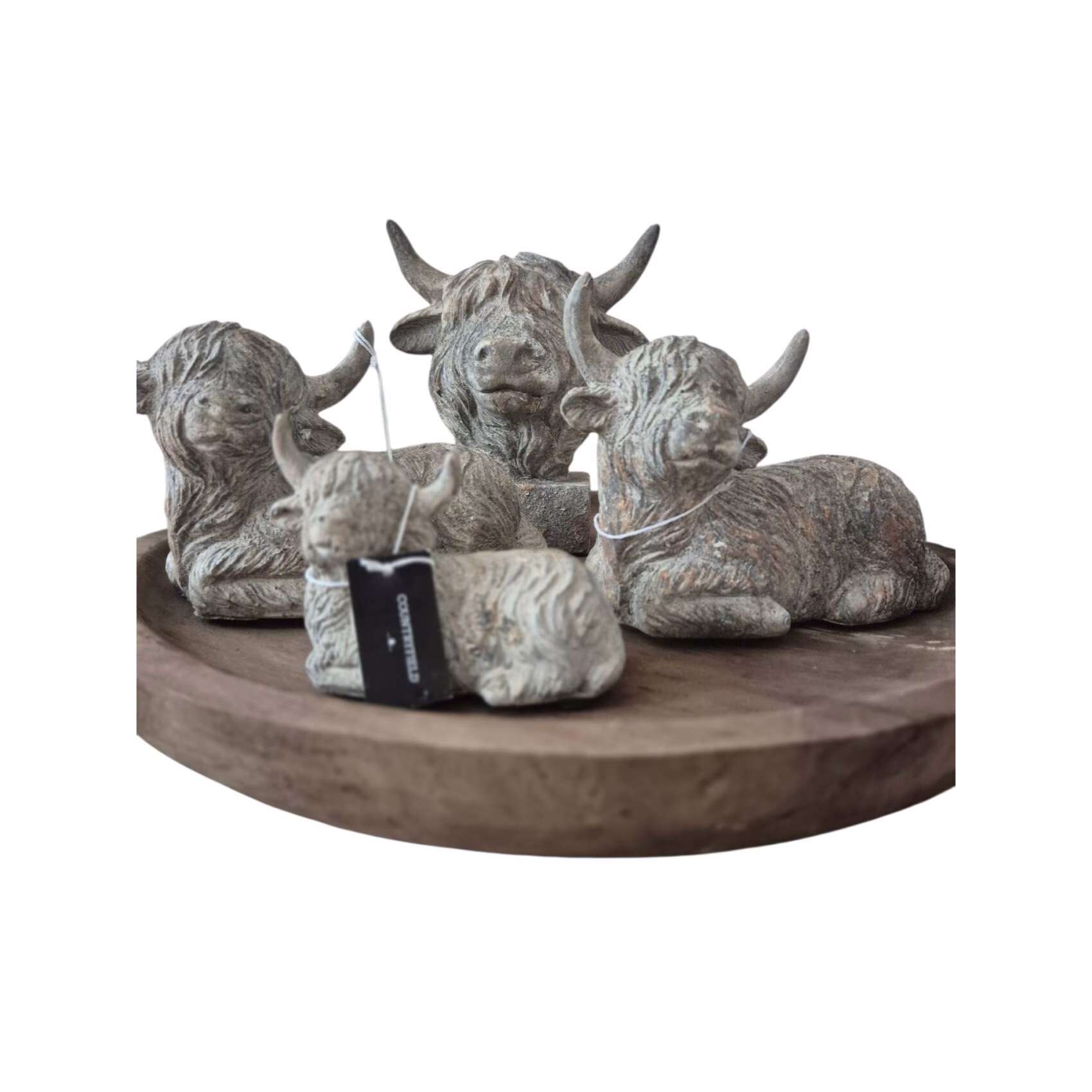 Countryfield Hooglander Beelden – Liggend & Borstbeeld – Steenlook Polystone 1 countryfield hooglander beelden